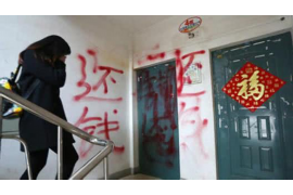 伊川为什么选择专业追讨公司来处理您的债务纠纷？